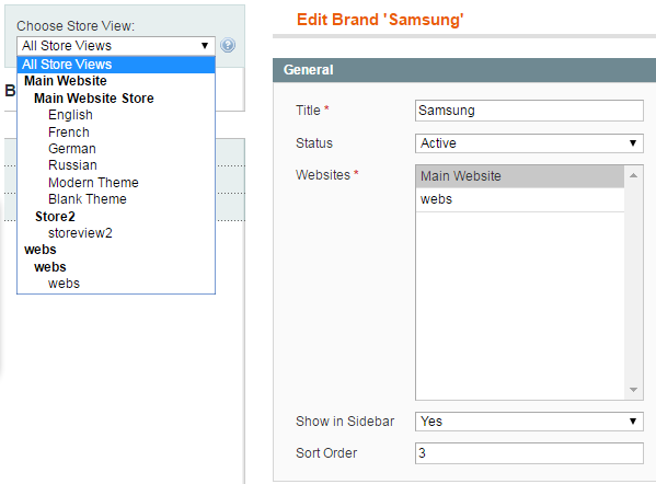 Brands Store View Selector